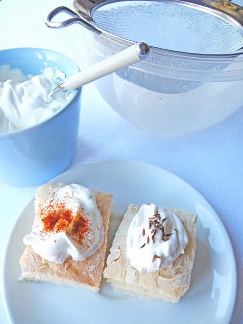 formaggio fatto in casa ricetta formaggio yogurt