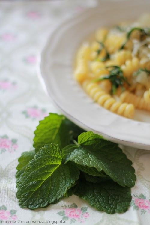 pasta con finocchio, silene e mellissa pasta primaverile