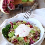 Insalatina di quinoa con broccolo romanesco e radicchio trevigiano con fonduta di toma al peperoncino