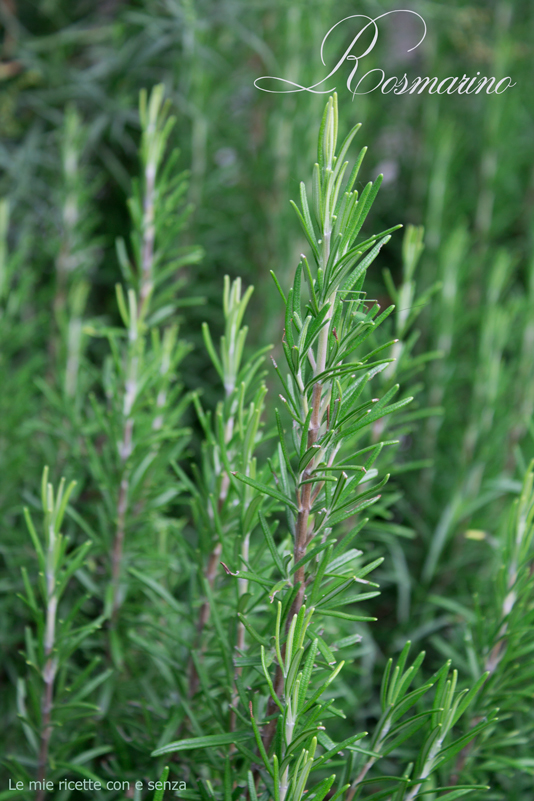 Rosmarino in cucina
