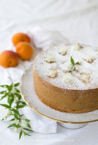 torta di albicocche