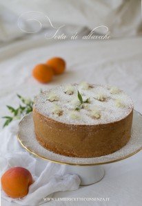torta-di-albicocche