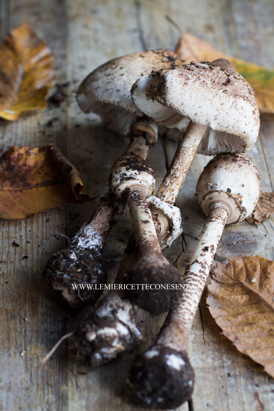 mazze di tamburo ricetta