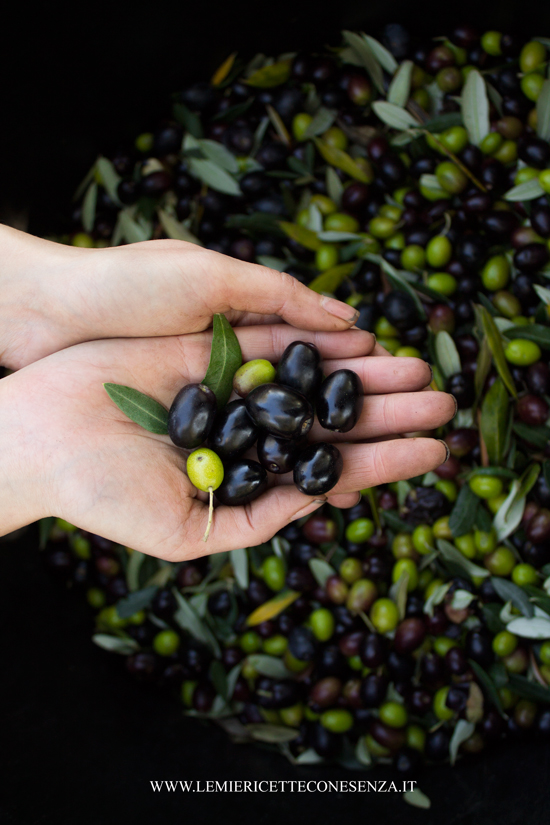 olive-fresche-ricette