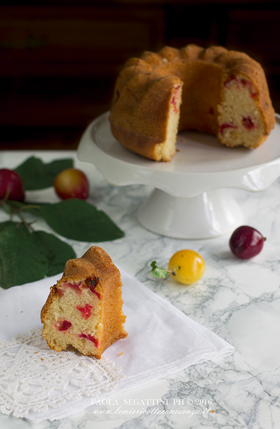 torta alle susine con grano saraceno